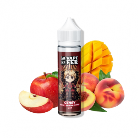 CENSY - LA VAPE DE FER 16,90 €