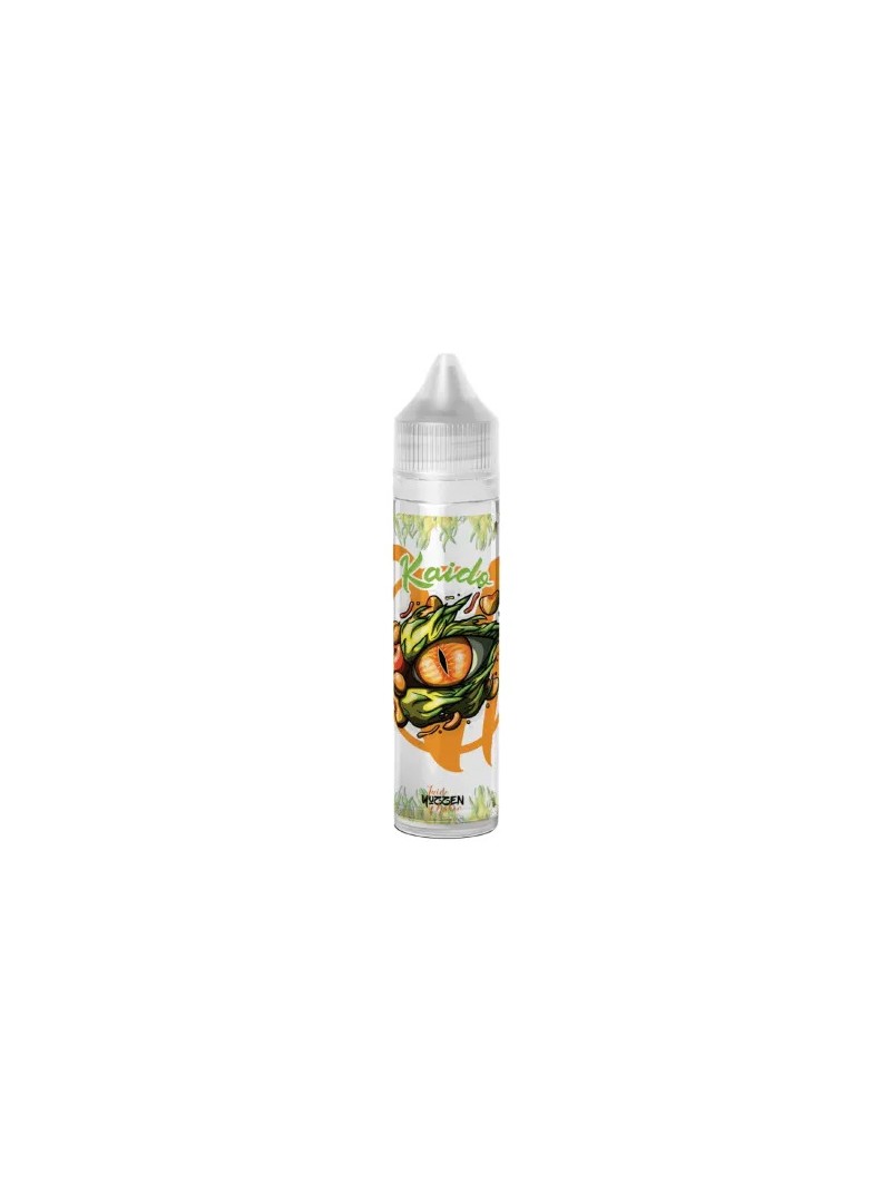 Kaido 50 ml - Vape Institut 17,90 €
