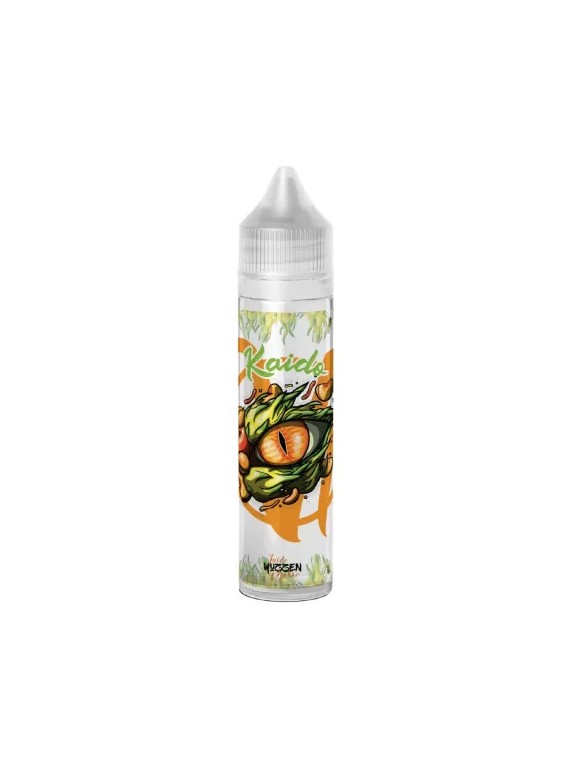 Kaido 50 ml - Vape Institut 17,90 €