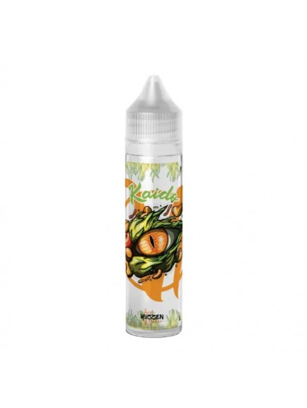 Kaido 50 ml - Vape Institut 17,90 €