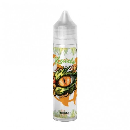 Kaido 50 ml - Vape Institut 17,90 €